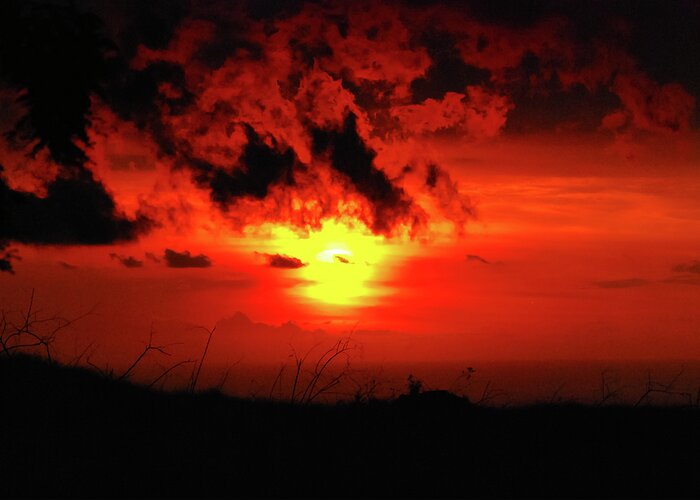 Warmth Greeting Card featuring the photograph Flaming Sunset by Christi Kraft