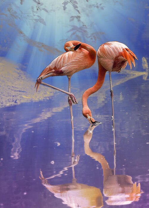 Bird Greeting Card featuring the photograph Flamingo Fantasy Lights by Bill and Linda Tiepelman