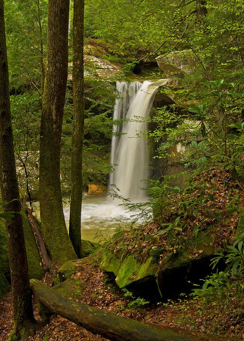 Wterfall Greeting Card featuring the photograph Flat Lick Falls by Ulrich Burkhalter