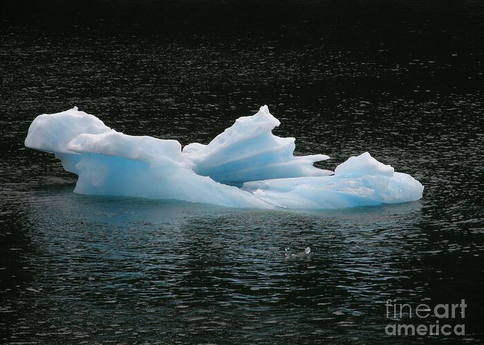 Floating Greeting Card featuring the photograph Floating Blue Ice Sculpture by Bev Conover