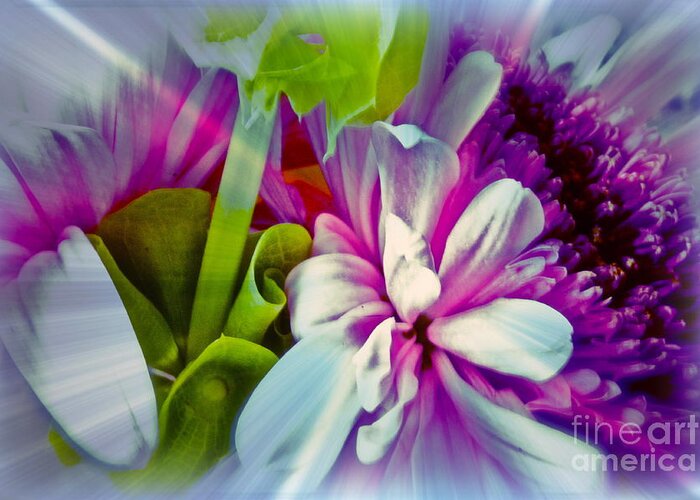 Flowers Greeting Card featuring the photograph Floral Array by Linda Bianic