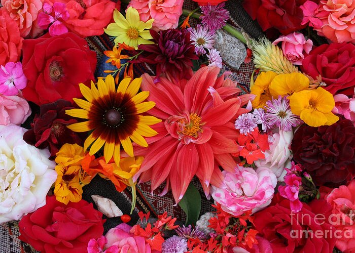 Photography Greeting Card featuring the photograph Floral Bounty by Jeanette French