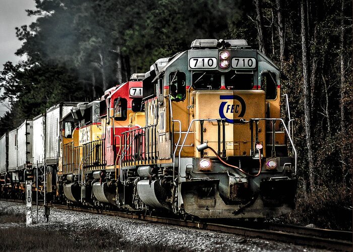 Train Greeting Card featuring the photograph Florida 710 by Scott Stocklin