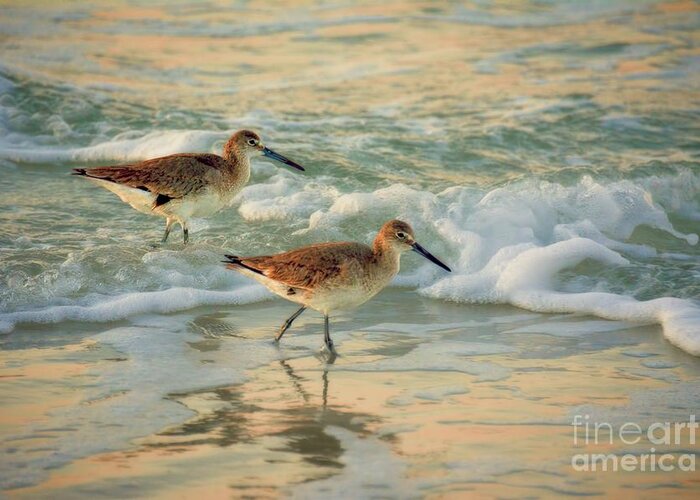 Florida Greeting Card featuring the photograph Florida Sandpiper Dawn by Henry Kowalski