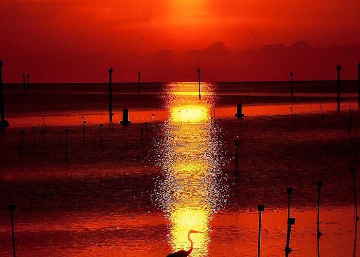 Sunset Greeting Card featuring the photograph Florida Sunset by Stuart Harrison
