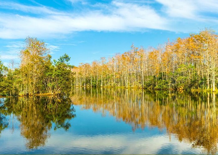 Florida Greeting Card featuring the photograph Florida Winter Wonderland by Jody Lane