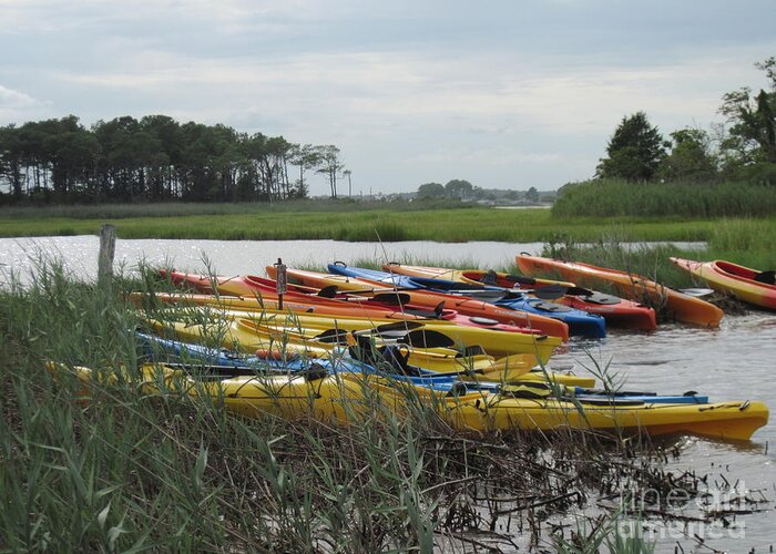 Kayaking Greeting Card featuring the photograph Flotilla by Donna Cavender
