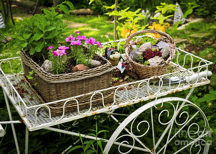 Garden Greeting Card featuring the photograph Flower cart in garden 2 by Elena Elisseeva