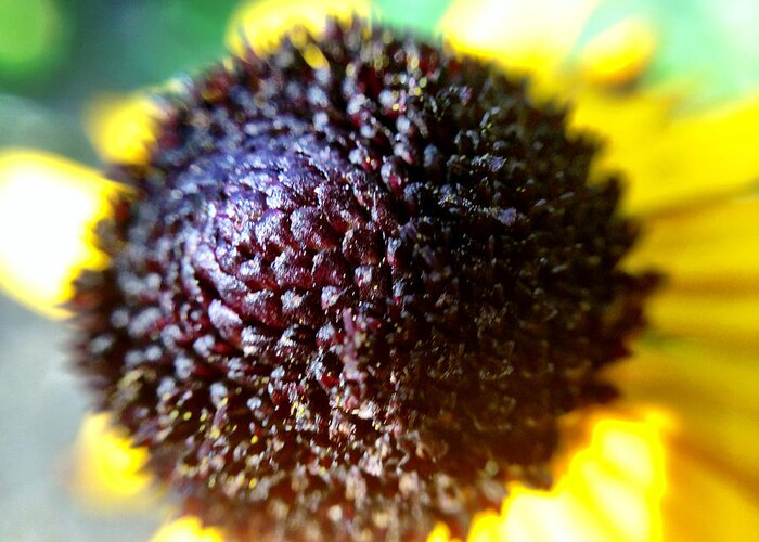 Flower Greeting Card featuring the photograph Flower Macro by Chris Montcalmo