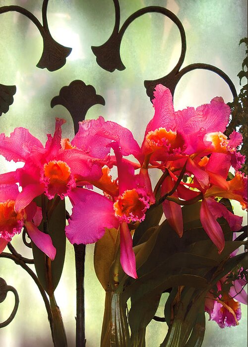 Orchid Greeting Card featuring the photograph Flower - Orchid - It's all in the presentation by Mike Savad