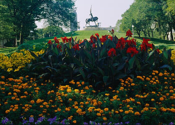 Photography Greeting Card featuring the photograph Flowers In A Park, Grant Park, Chicago by Panoramic Images