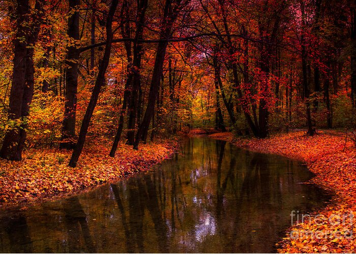 Autumn Greeting Card featuring the photograph Flowing Through The Colors Of Fall by Hannes Cmarits