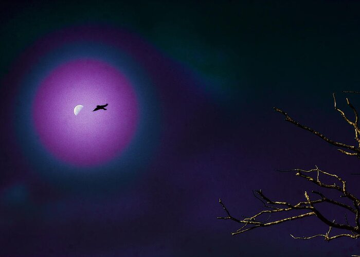 Night Greeting Card featuring the photograph Flying to the moon by Daniel Martin