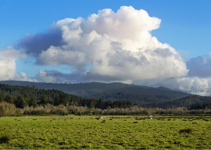 Humboldt Greeting Card featuring the photograph Fly By by Jon Exley