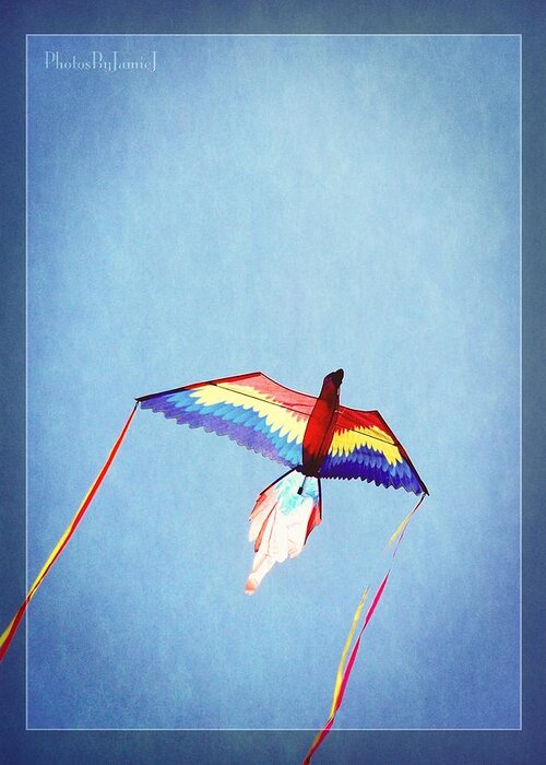 Kite Greeting Card featuring the photograph Fly Free by Jamie Johnson