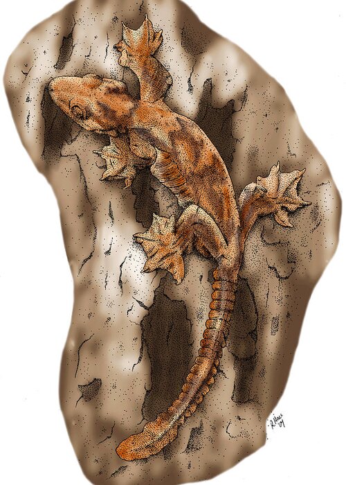 Flying Gecko Greeting Card featuring the photograph Flying Gecko by Roger Hall
