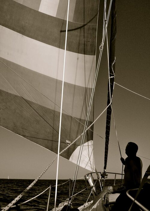 Sailing Greeting Card featuring the photograph Flying II by Kim Pippinger