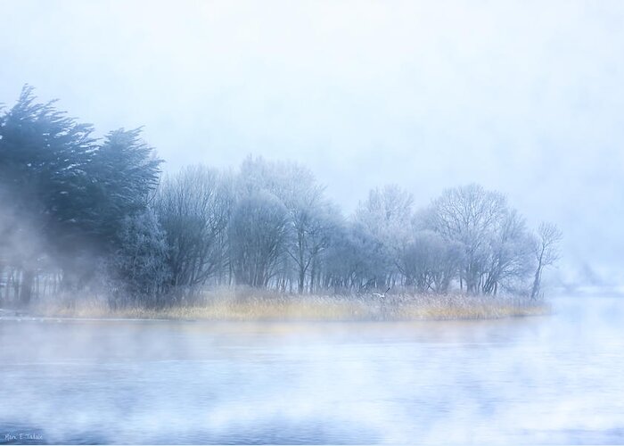 Galway Greeting Card featuring the photograph Fog on the River Corrib in Galway Ireland by Mark E Tisdale