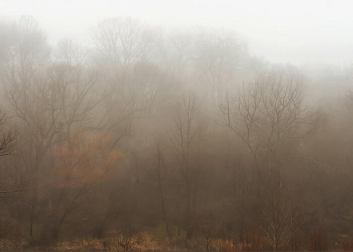 Fog Greeting Card featuring the photograph Fog Riverside Park by Scott Norris
