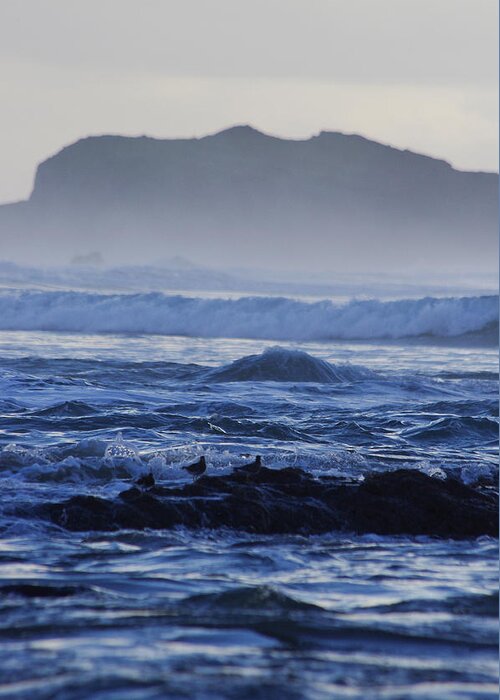 Ocean Greeting Card featuring the photograph Fog Rolling In by Adria Trail