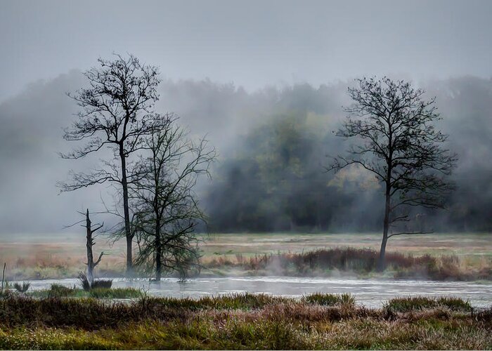 Fog Greeting Card featuring the photograph Foggy Bottoms by James Barber