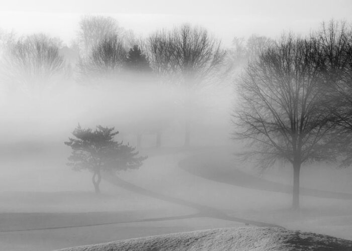 Fog Greeting Card featuring the photograph Foggy Morning by Carol Erikson