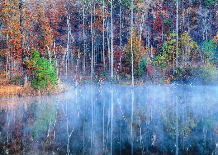 Lake Reflections Greeting Card featuring the photograph Foggy Morning Reflections by Greg Norrell