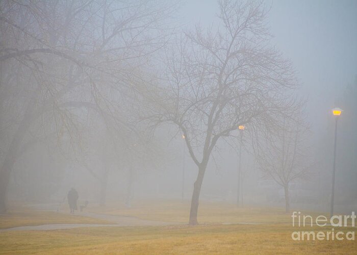 Fog Greeting Card featuring the photograph Foggy Park Morning by James BO Insogna