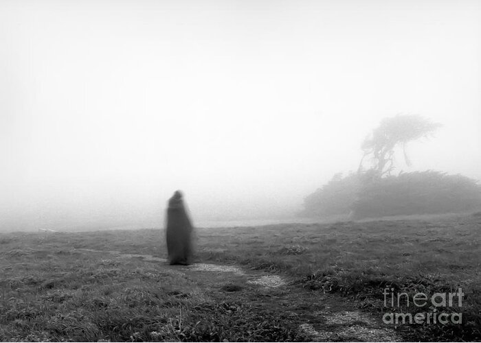 Fog Greeting Card featuring the photograph Foggywalk by Kathi Shotwell