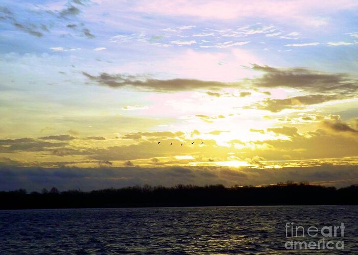 Delaware River Greeting Card featuring the photograph Follow the Sun by Robyn King