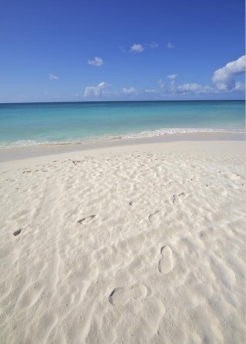Aruba Greeting Card featuring the photograph Footprints in the Powdery White Sand of Aruba by David Letts