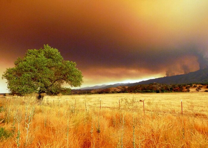 Rural Greeting Card featuring the photograph Forest Fire Smoke Over Pasture and Oak by Jeff Lowe