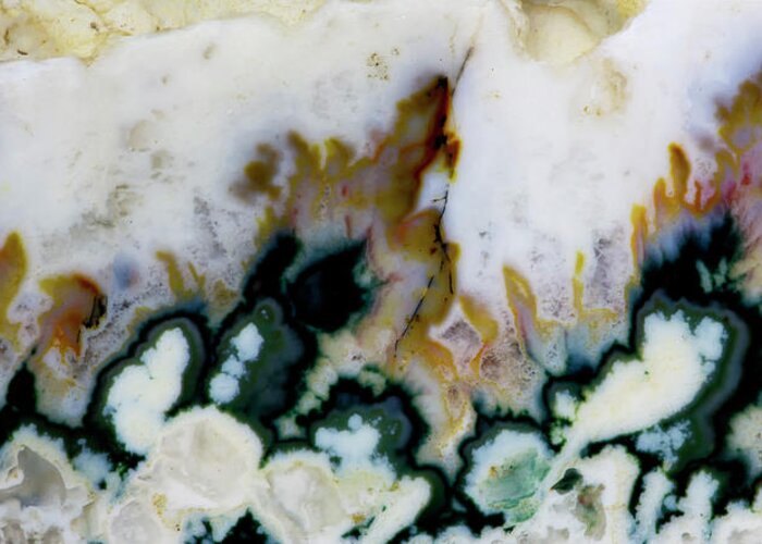 Mineral Greeting Card featuring the photograph Forest Green Agate, Close-up Of Plumes by Darrell Gulin
