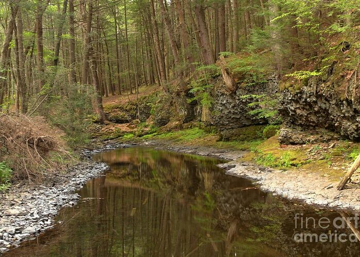 Woods Greeting Card featuring the photograph Forest Refletions In Raymondskill by Adam Jewell