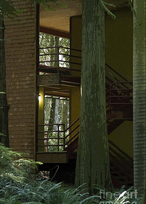 Stairway Greeting Card featuring the photograph Forest Stairway by Jeanette French