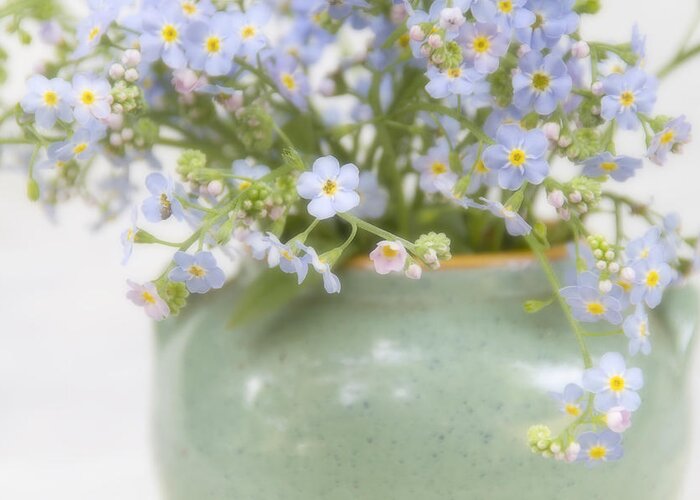 Forgetmenots Greeting Card featuring the photograph Forget-Me-Nots in a Vase by Peggy Collins