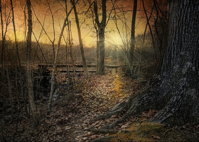 Woodland Greeting Card featuring the photograph Forgotten Path by Robin-Lee Vieira