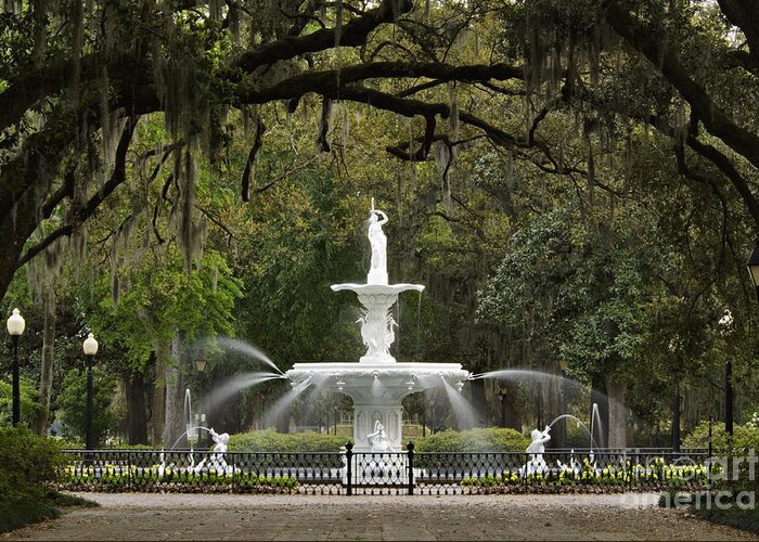 Forsyth Greeting Card featuring the photograph Forsyth Park Fountain - D002615 by Daniel Dempster