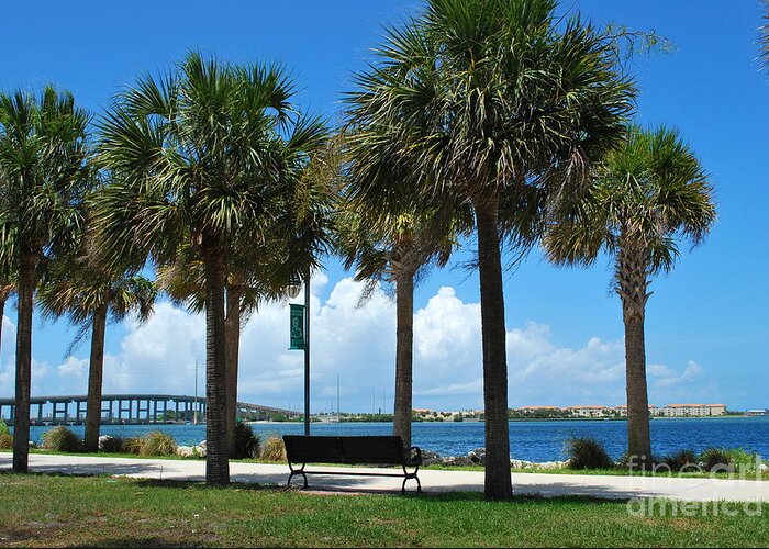 Palms Greeting Card featuring the photograph Fort Pierce River Front by Bob Sample