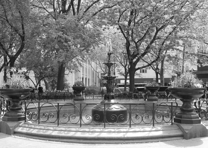 Madison Square Park Greeting Card featuring the photograph Fountain Time by Catie Canetti