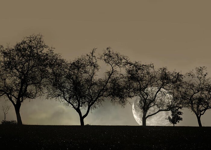 Trees Greeting Card featuring the photograph Four Trees and a Moon by Ann Bridges