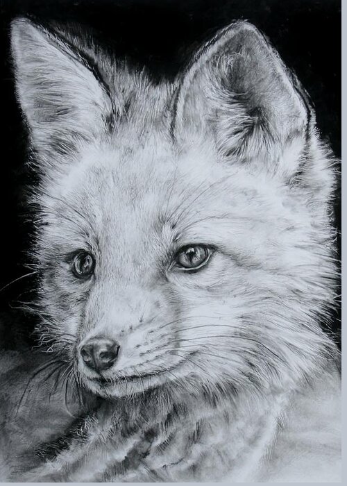 Fox Greeting Card featuring the drawing Fox Kit by Jean Cormier