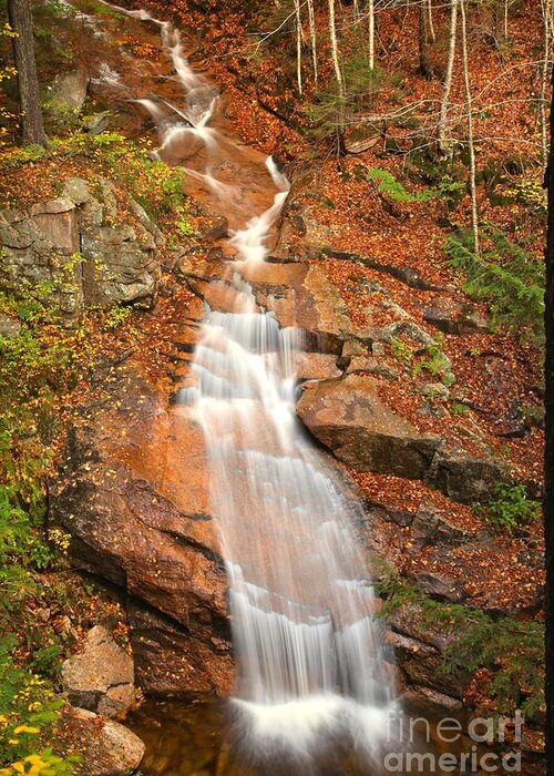 Liberty Cascades Greeting Card featuring the photograph Franconia Notch Liberty Cascades by Adam Jewell