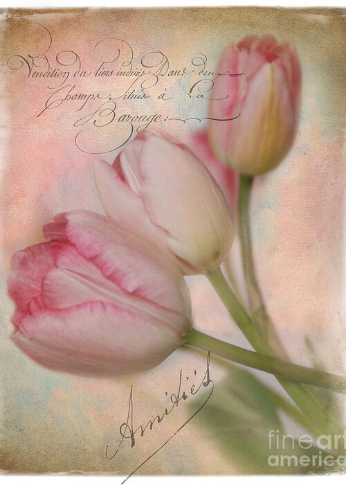 Flowers Greeting Card featuring the photograph French Touch by Norma Warden