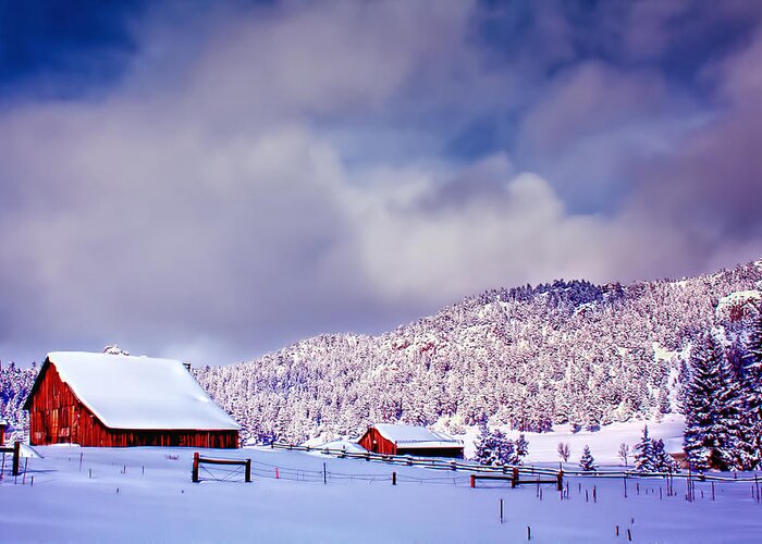 Snow Greeting Card featuring the photograph Freshly Fallen Snow on the Ranch by Teri Virbickis