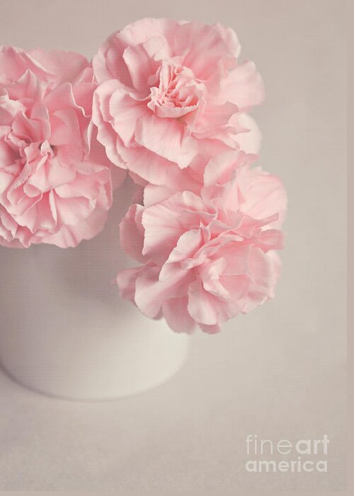 Flowers Greeting Card featuring the photograph Frilly pink Carnations by Lyn Randle