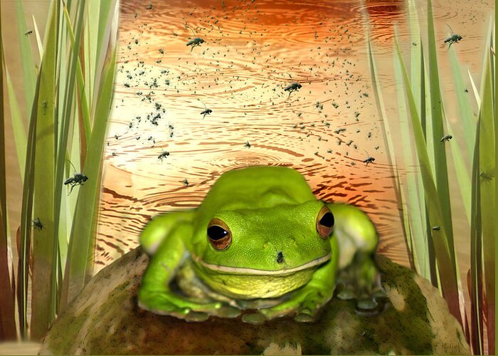 Nature Greeting Card featuring the photograph Froggy Heaven by Holly Kempe
