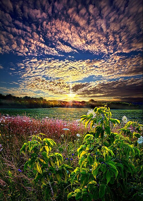 Farming Greeting Card featuring the photograph From Here To Eternity by Phil Koch