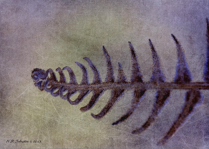 Fern Greeting Card featuring the photograph Frondle by WB Johnston