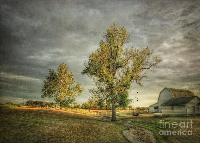 Farm Greeting Card featuring the photograph Front Porch View by Pamela Baker
